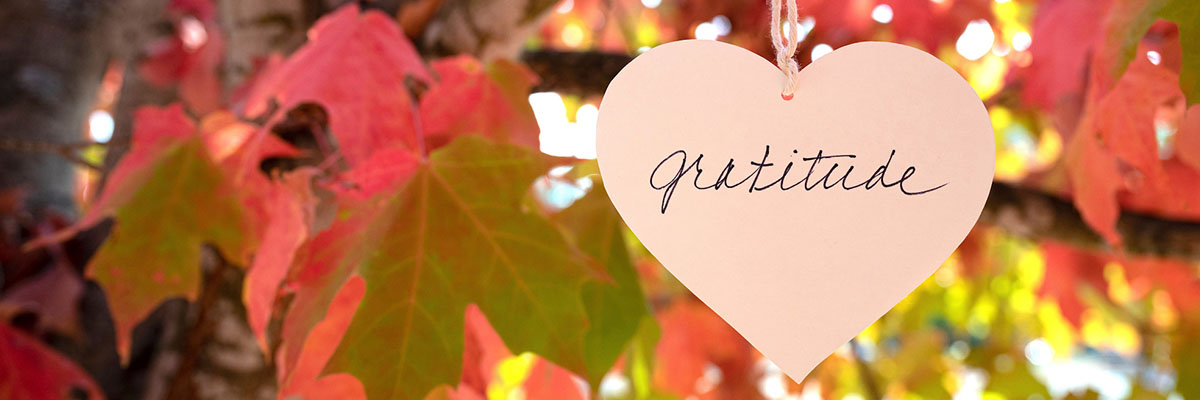 The Importance of Holiday Gratitude